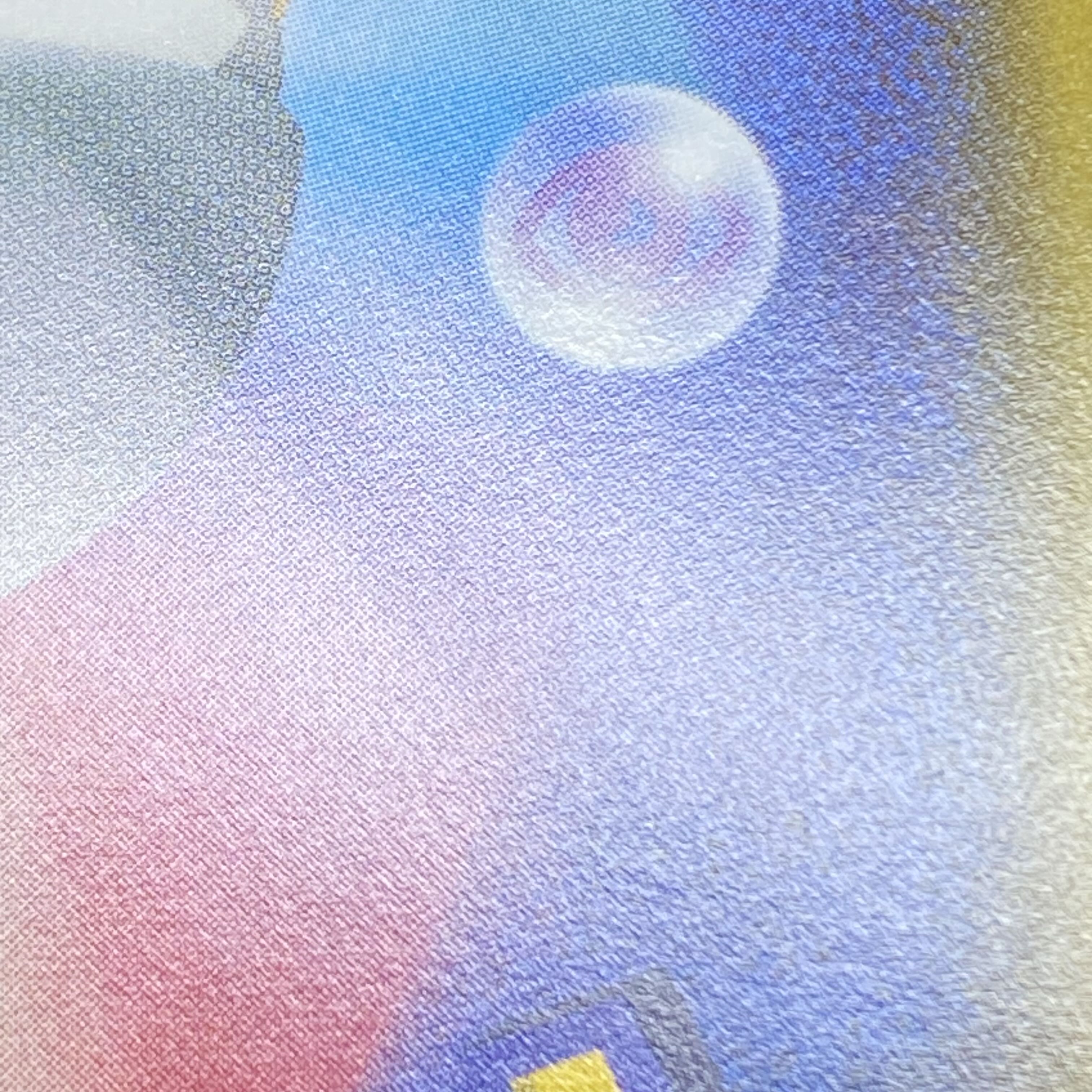 Skyla PROMO 164/XY-P