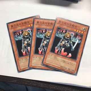 異次元の女戦士