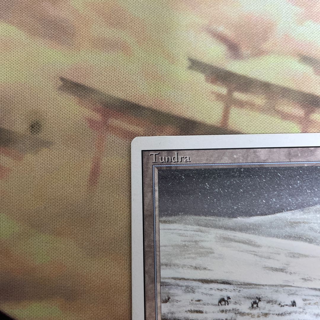 tundra Dualland English