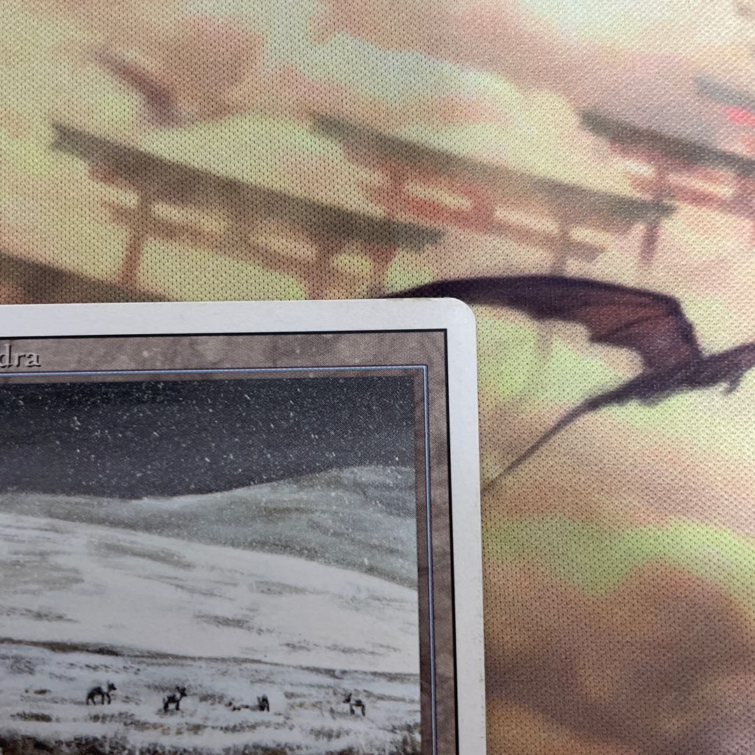 tundra Dualland English