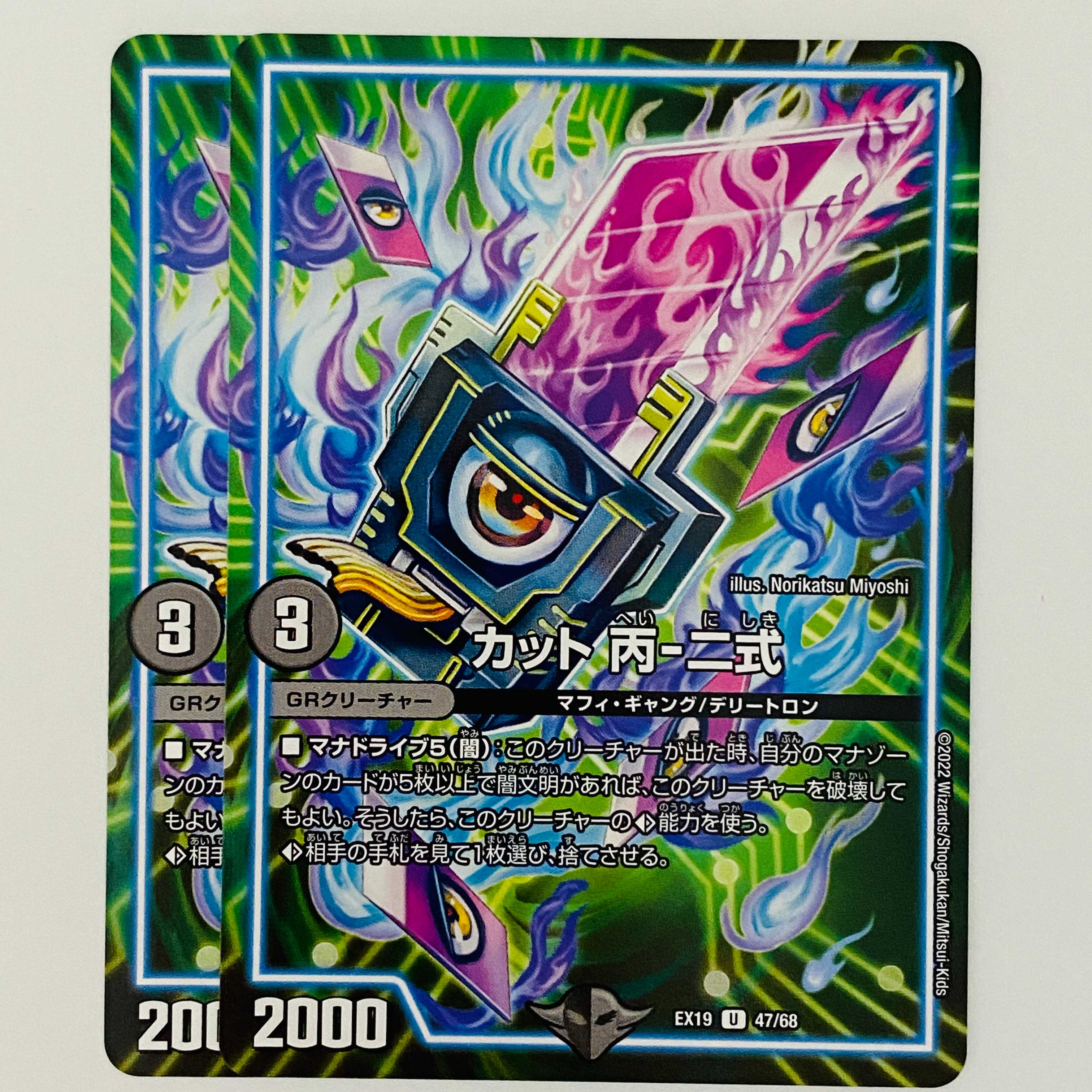 Cut C-2 type 2 sheets DM-EX-19-47 2枚