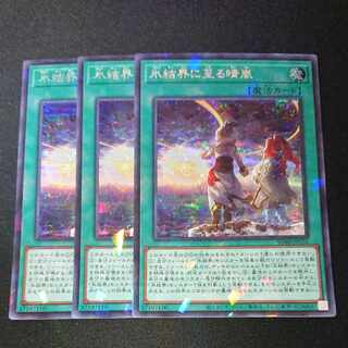 CST194 氷結界に至る晴嵐 PSE