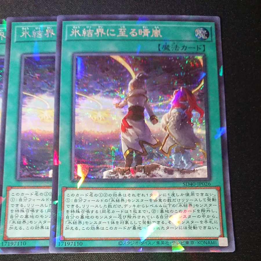 CST194 氷結界に至る晴嵐 PSE