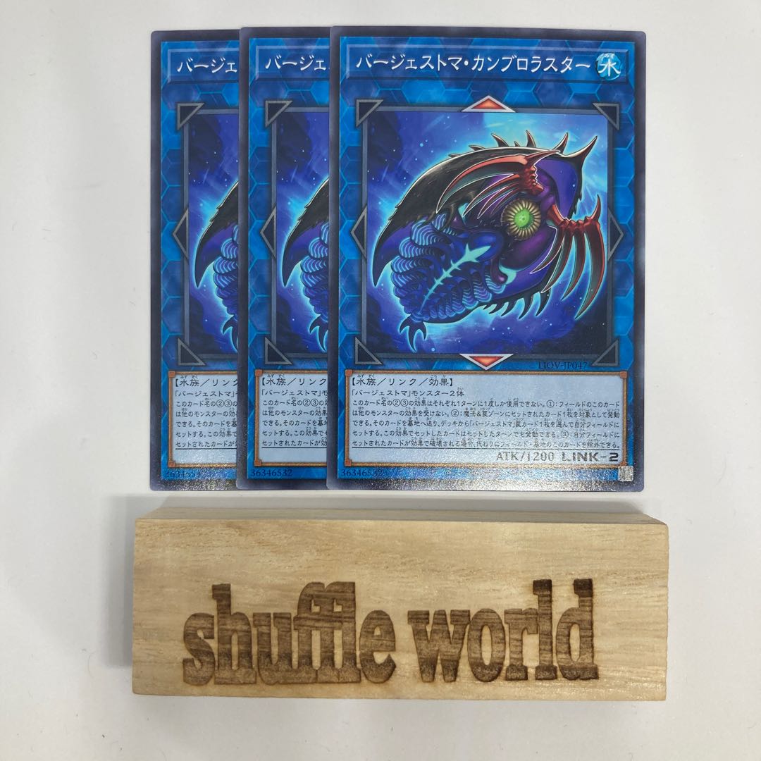 Paleozoic Cambroraster 457