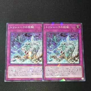 CST202 トリシューラの鼓動 PSE