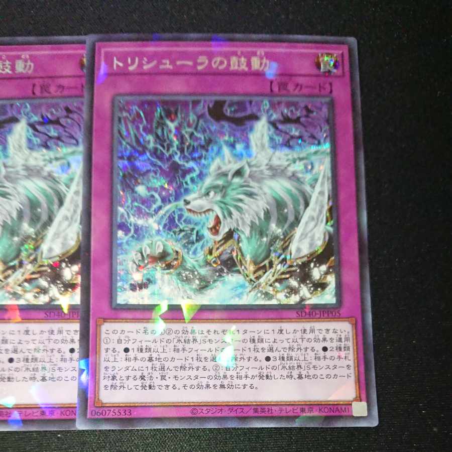 CST202 Terror of Trishula PSE