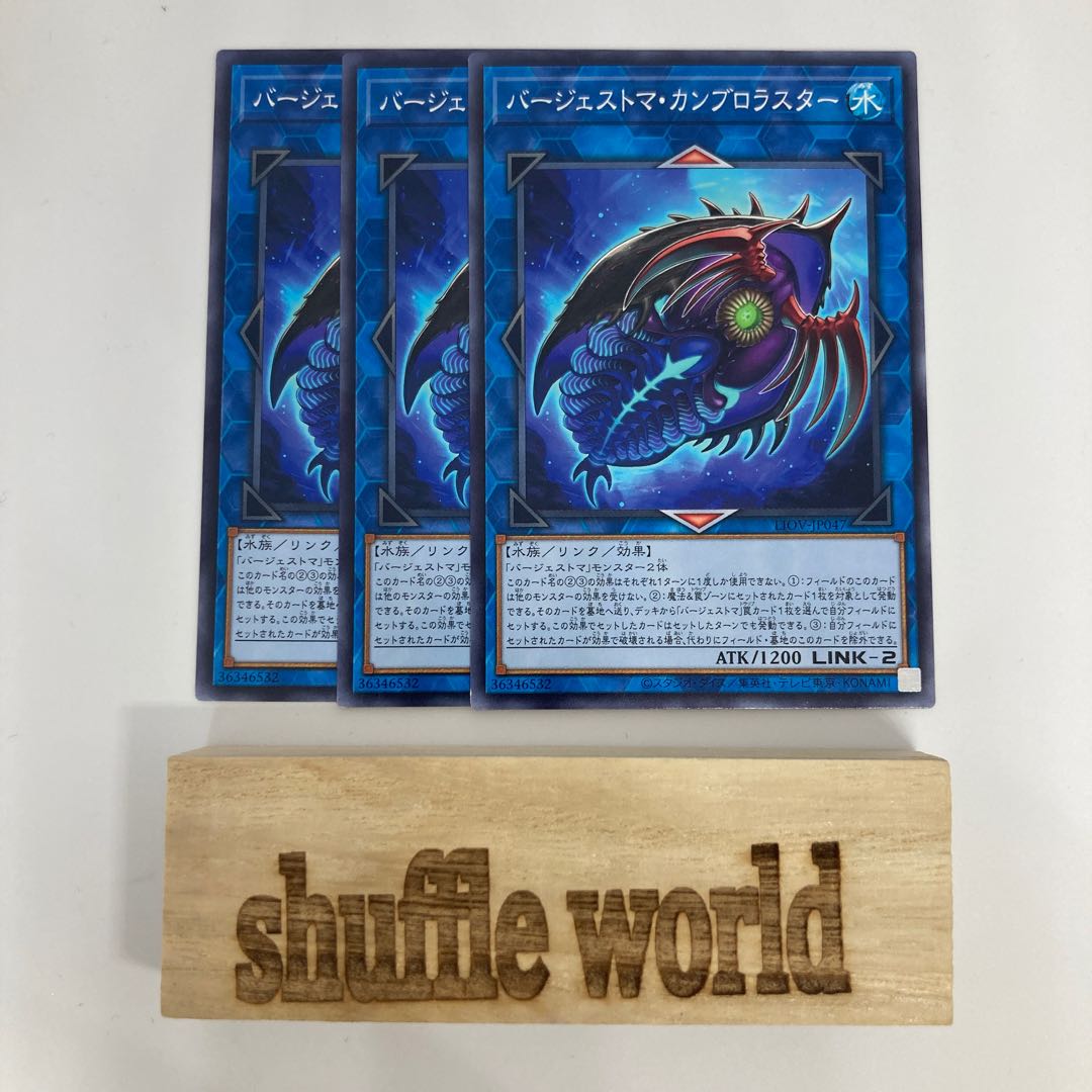 Paleozoic Cambroraster 489