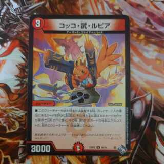 Cocco Bu Lupia R 19/74