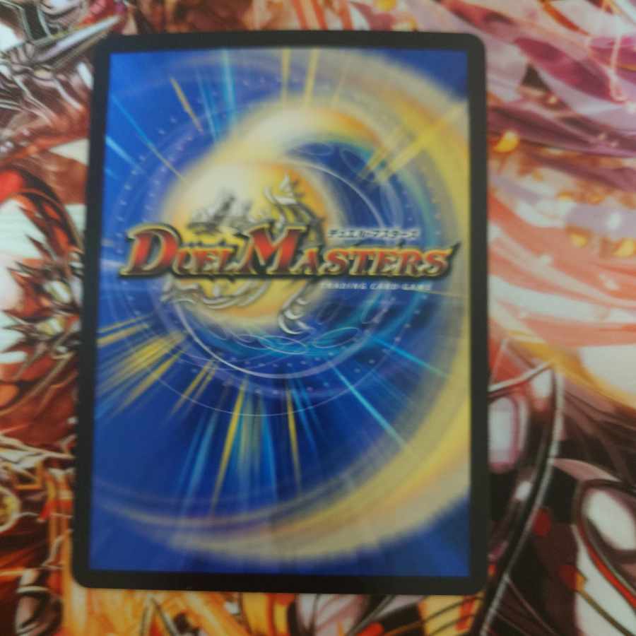 Cocco Bu Lupia R 19/74