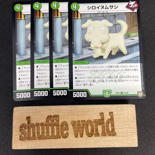 White-fronted tern 150