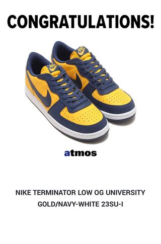 Nike Terminator Low "University Gold/Ne Minar/Michigan/Ho Wight" 28.5cm