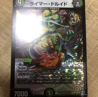 ライマードルイド