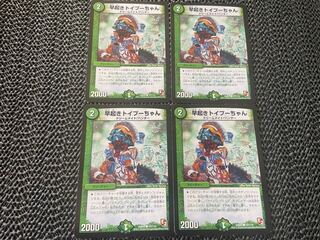 【TAKUMI】早起きトイプーちゃん C 107/110 4枚　い-246