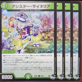 srsセット割引　アシスター・サイネリア C 73/74