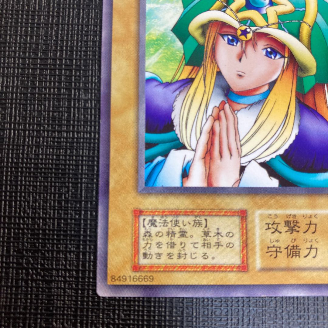 遊戯王 ドリアード 初期 ノーマル 通常モンスター