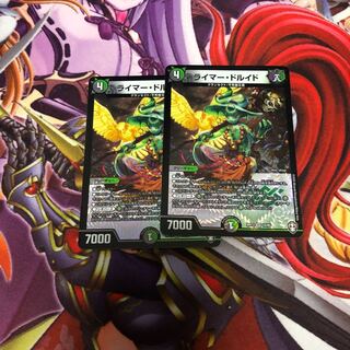 ライマードルイド2枚セット