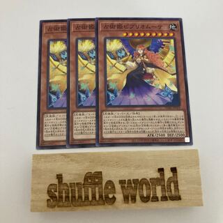 Divination Princess Bibliomusa 515