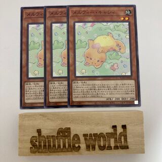 メルフィー・キャシィ 516