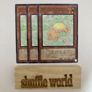 メルフィー・キャシィ 518