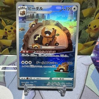 Pocketka [Bibarel] AR