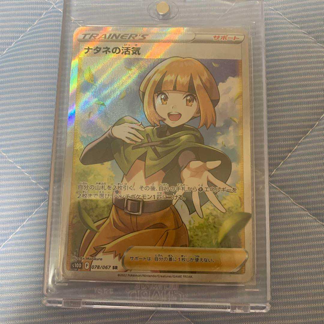 ナタネの活気 sr