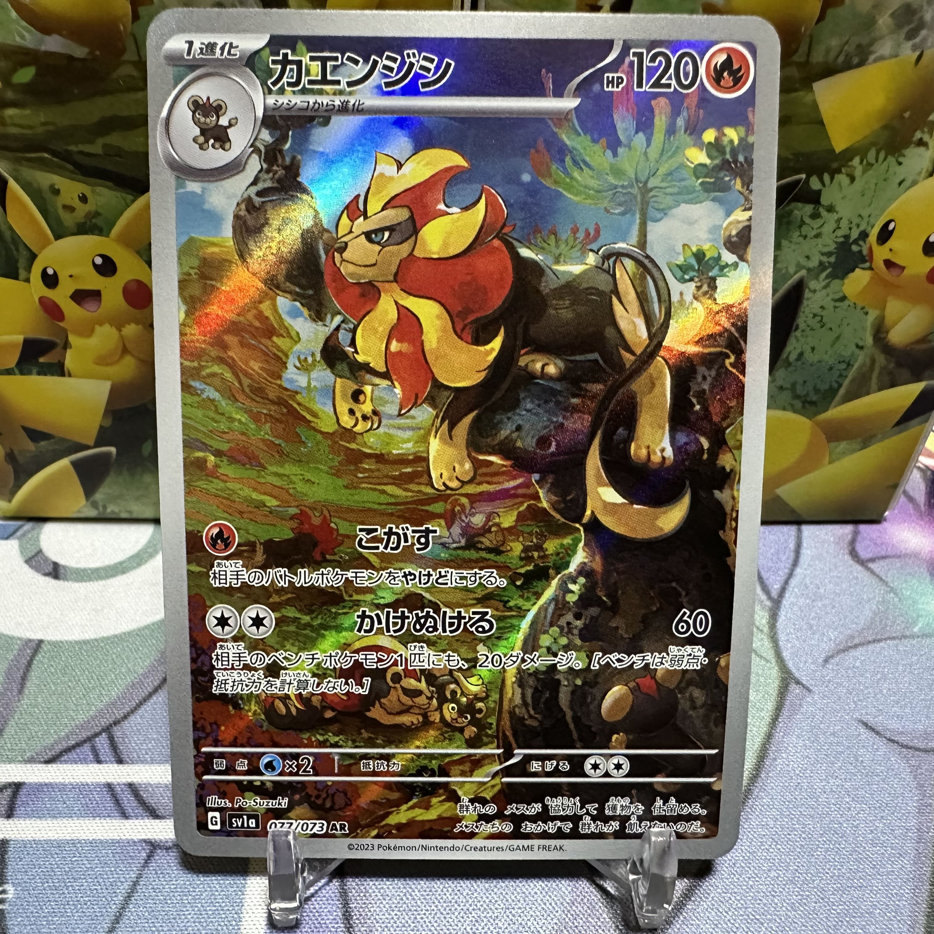 Pocketka [Pyroar] AR