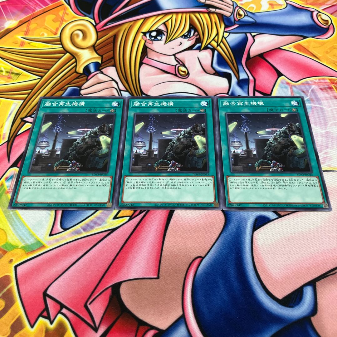 Fusion Recycling Plant