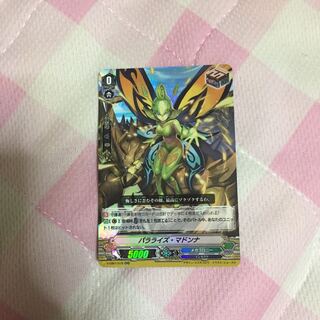 パラライズ・マドンナ