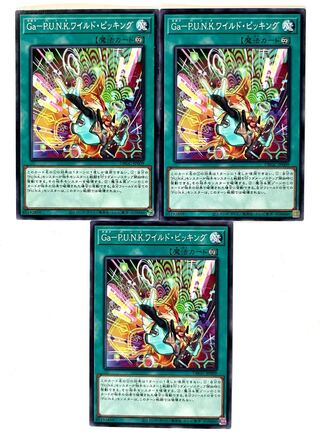 Ga－P.U.N.K.ワイルド・ピッキング【ノーマル】JP009
