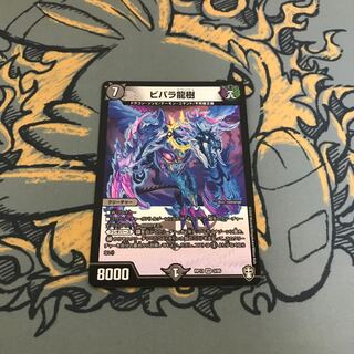 即日発送　ビバラ龍樹