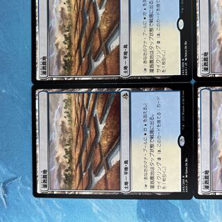 MTG 4枚 灌漑農地