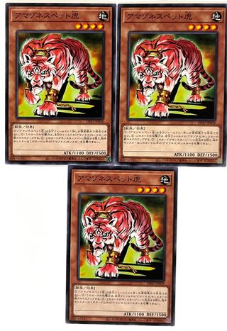 アマゾネスペット虎【ノーマル 】JP039