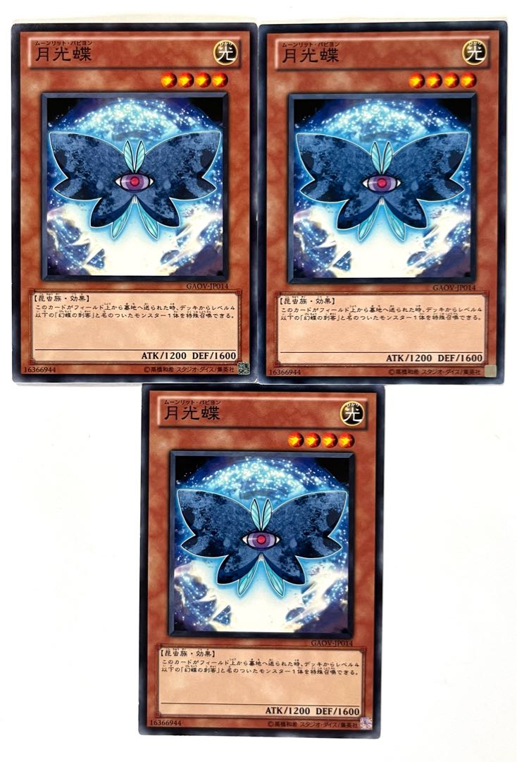 月光蝶【ノーマル 】JP014