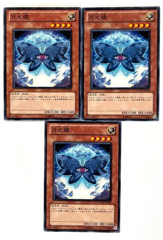 月光蝶【ノーマル 】JP014