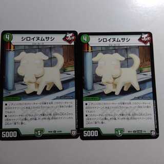 シロイヌムサシ　2枚セット