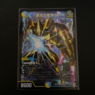 雷光の聖騎士　ライトニングソードパラディン