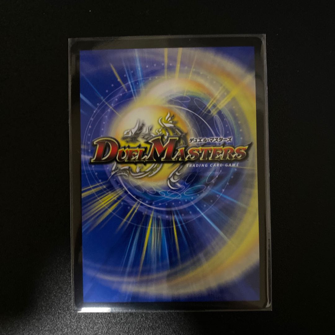 雷光の聖騎士 ライトニングソードパラディン