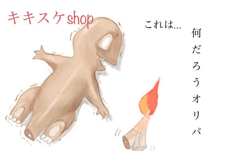 'Exclusively for Hisa-sama' What is this...Oripa! The early bird gets the worm! 1枚