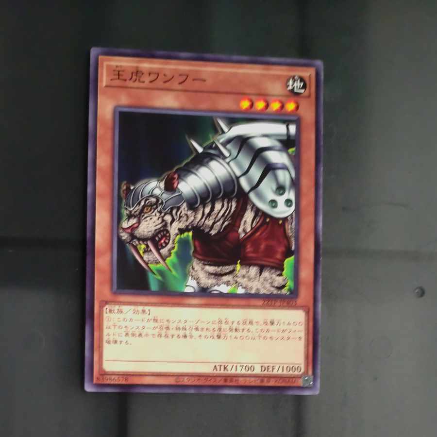 王虎ワンフー ノーマル JP403 【木林堂】