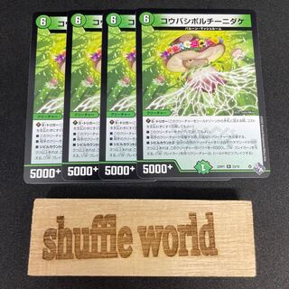 コウバシポルチーニダケ 195