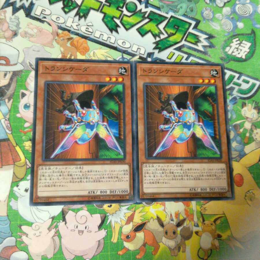 トランシケーダ　N（ノーマル）　2枚セット