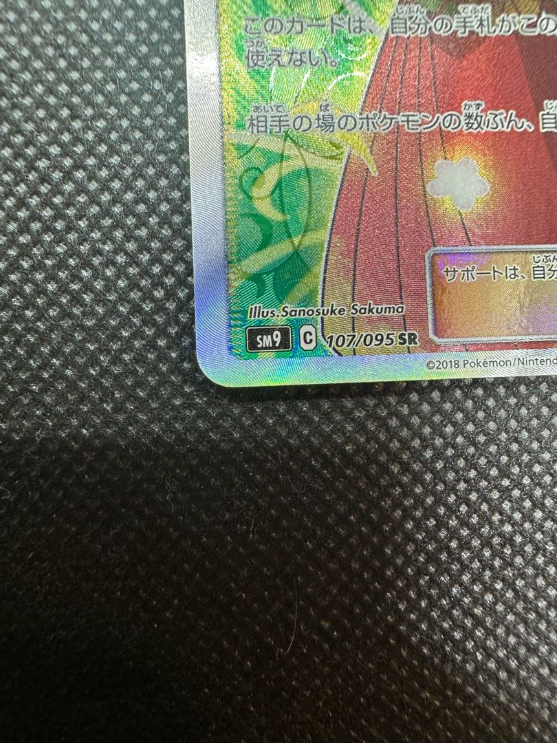 Erika's Hospitality SR 107/095