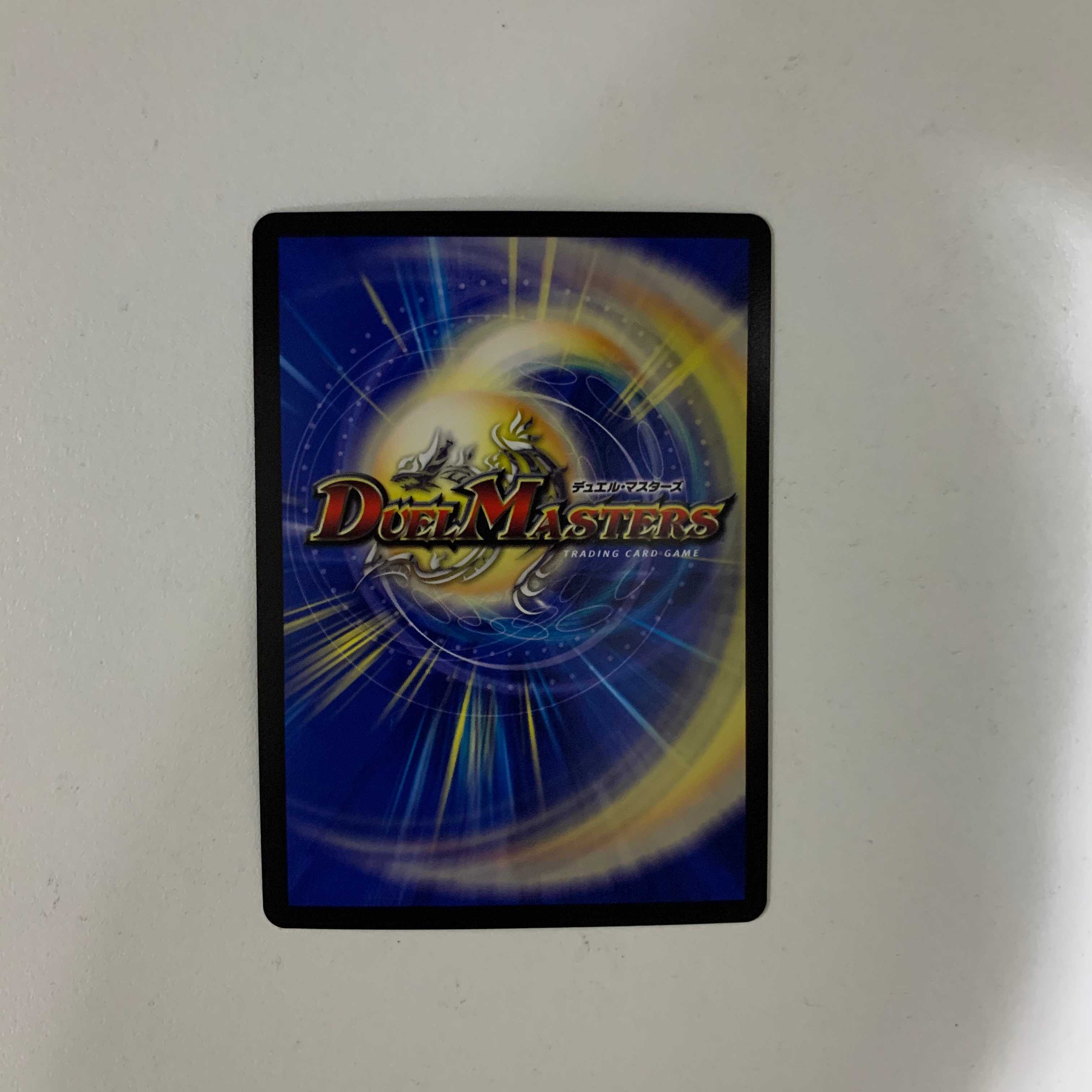 煌龍 サッヴァーク