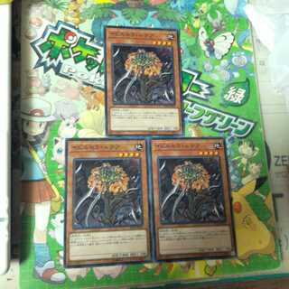 イビルセラ・ルテア　N（ノーマル）　3枚セット