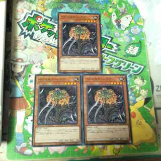 イビルセラ・ルテア　N（ノーマル）　3枚セット