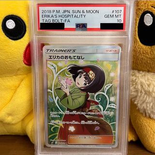 PSA10] Erika's Hospitality SR