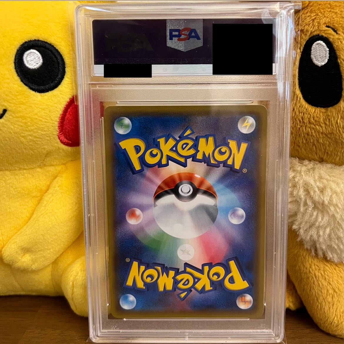 PSA10] Erika's Hospitality SR