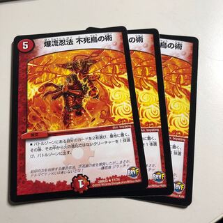 爆流忍法 不死鳥の術