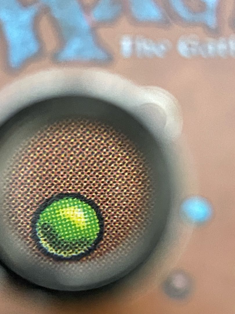 Scrubland bayou セット