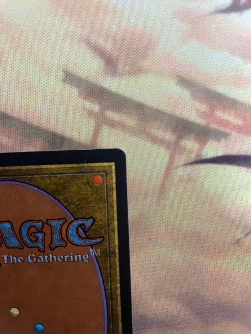 Scrubland bayou セット